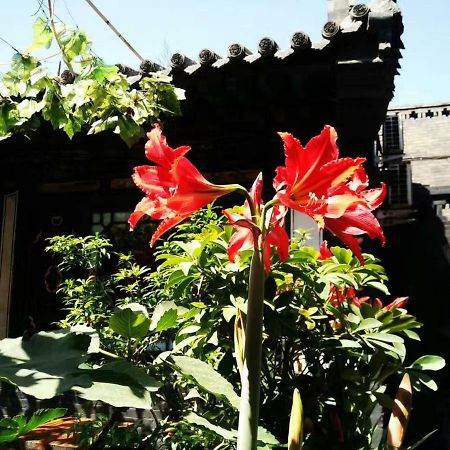 Pingyao Tian Yi Hostel Esterno foto